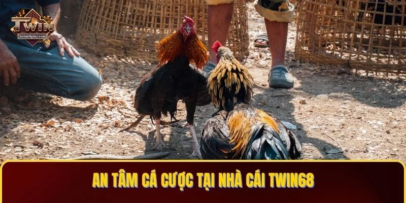 An tâm cá cược tại nhà cái TWIN68