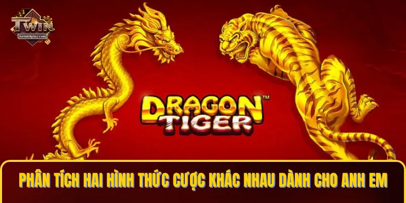 Phân tích hai hình thức cược khác nhau dành cho anh em